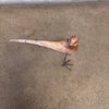 "The Bird Is The Word" Wooden Bird Sculpture
