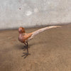 "The Bird Is The Word" Wooden Bird Sculpture
