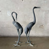 Pair of Vintage Bronze Crane Sculptures