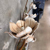 Tole Magnolia Hollywood Regency Wall Light Fixture