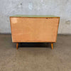 Mid Century Avocado Green Tambour Door Record Cabinet