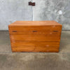 Vintage Studio Craft Trunk