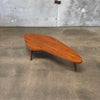Mid Century Modern Amoeba Coffee Table by Barzilay