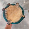 Pearl Nydeu Studio Pottery C. 1930