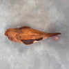 Eva Kolosvary Stupler 1967 Studio Pottery "Fish Face"