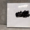 William Firschen Sculpture Photograph
