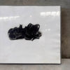 William Firschen Sculpture Photograph