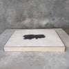 William Firschen Sculpture Photograph