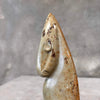 Inuit Carved Stone Seal Sculpture