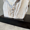 Rodin Sculpture By Austin Productions - 1979