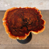 Round Live Edge End / Bistro Table