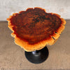 Round Live Edge End / Bistro Table