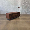 Mid Century Low Tambour Door Record Cabinet