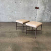 Pair of Vintage Shelby Williams Low Stools