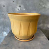 Mustard Yellow Inverted Lotus Gainey Planter