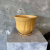 Mustard Yellow Inverted Lotus Gainey Planter