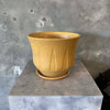Mustard Yellow Inverted Lotus Gainey Planter