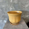 Mustard Yellow Inverted Lotus Gainey Planter