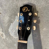 Vintage Acoustic Guitar by Kay