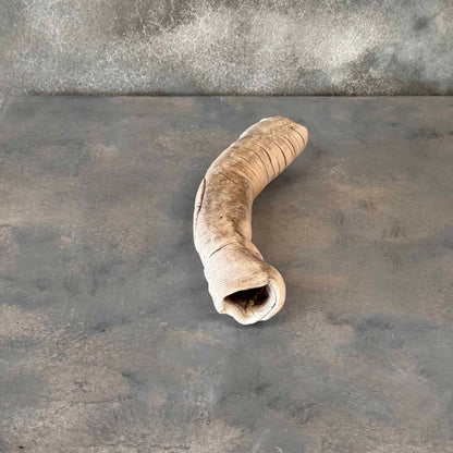 Ceramic Sculpture By Long Beach Artist Cranbrook Alum Josh Friedman