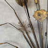 Vintage Torch Cut Cat Tails Sculpture - 1970s