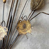 Vintage Torch Cut Cat Tails Sculpture - 1970s