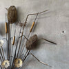 Vintage Torch Cut Cat Tails Sculpture - 1970s
