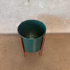 Green Gainey Ceramic Pot With Walnut Stand