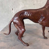 Bronze Greyhound