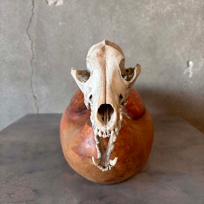 Eva Kolosvary Stupler Sculpture Duck
