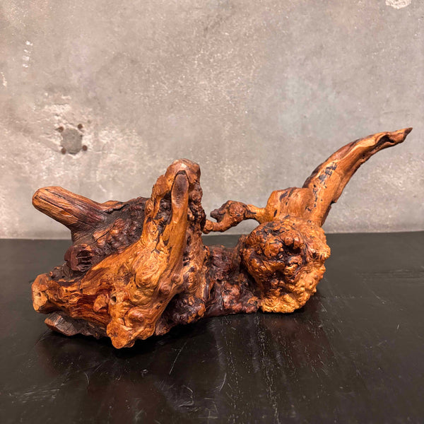 Vintage Burl Wood Sculpture