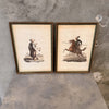 Set of Twelve (12) Military Costume of Turkey Framed Prints
