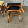 Set of Four (4) Dining Chairs by Dux of Sweden - New Upholstery