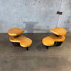 Mid Century Modern Biomorphic Side Tables