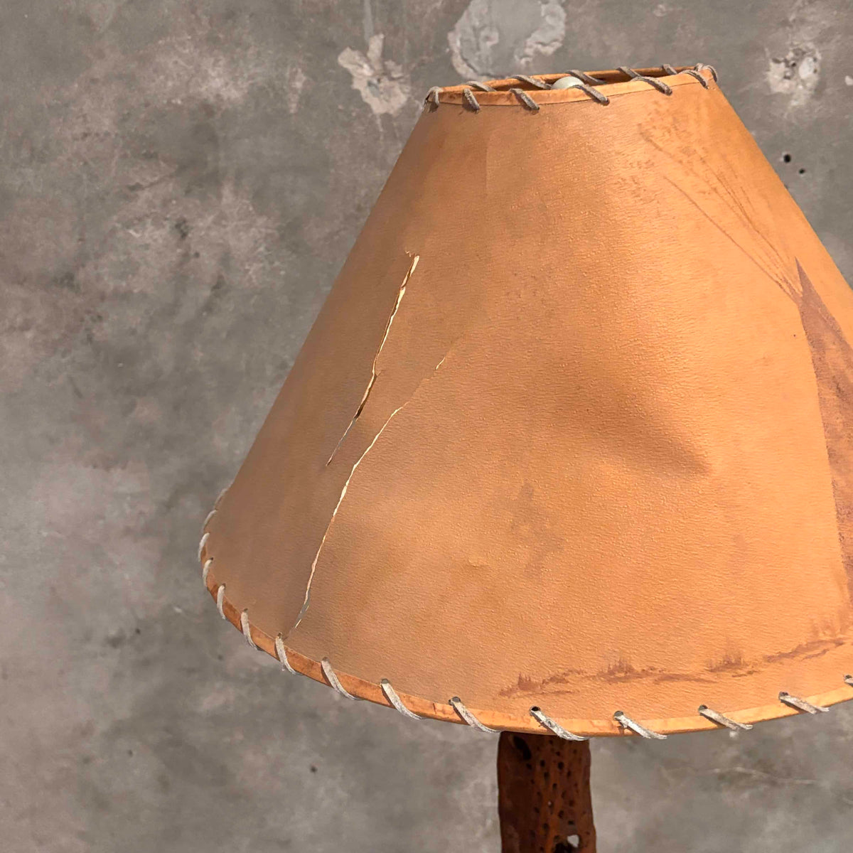Vintage Cholla Cactus Wood Floor Lamp/Teepee