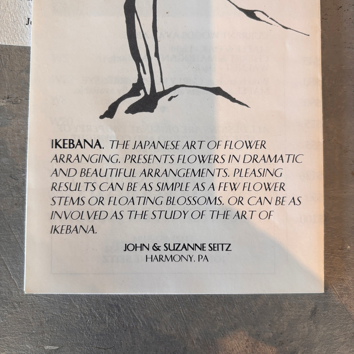 Post Modern Ikebana w/ Studio Papers
