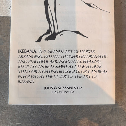 Post Modern Ikebana w/ Studio Papers