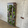 Custom Succulent Curio Cabinet
