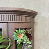 Custom Succulent Curio Cabinet