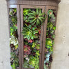 Custom Succulent Curio Cabinet