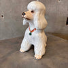 Vintage Italian Ceramic Poodle Figurine