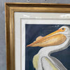 Large Audubon American White Pelican
