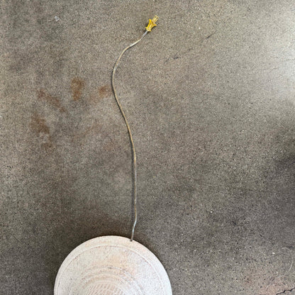 Post Modern Cream Plaster Column Floor Lamp