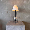 1950's Heitetz Hairpin Lamp