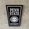 Penn State University Framed Pennant