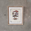 Fish Framed Art #1