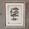 Fish Framed Art #1