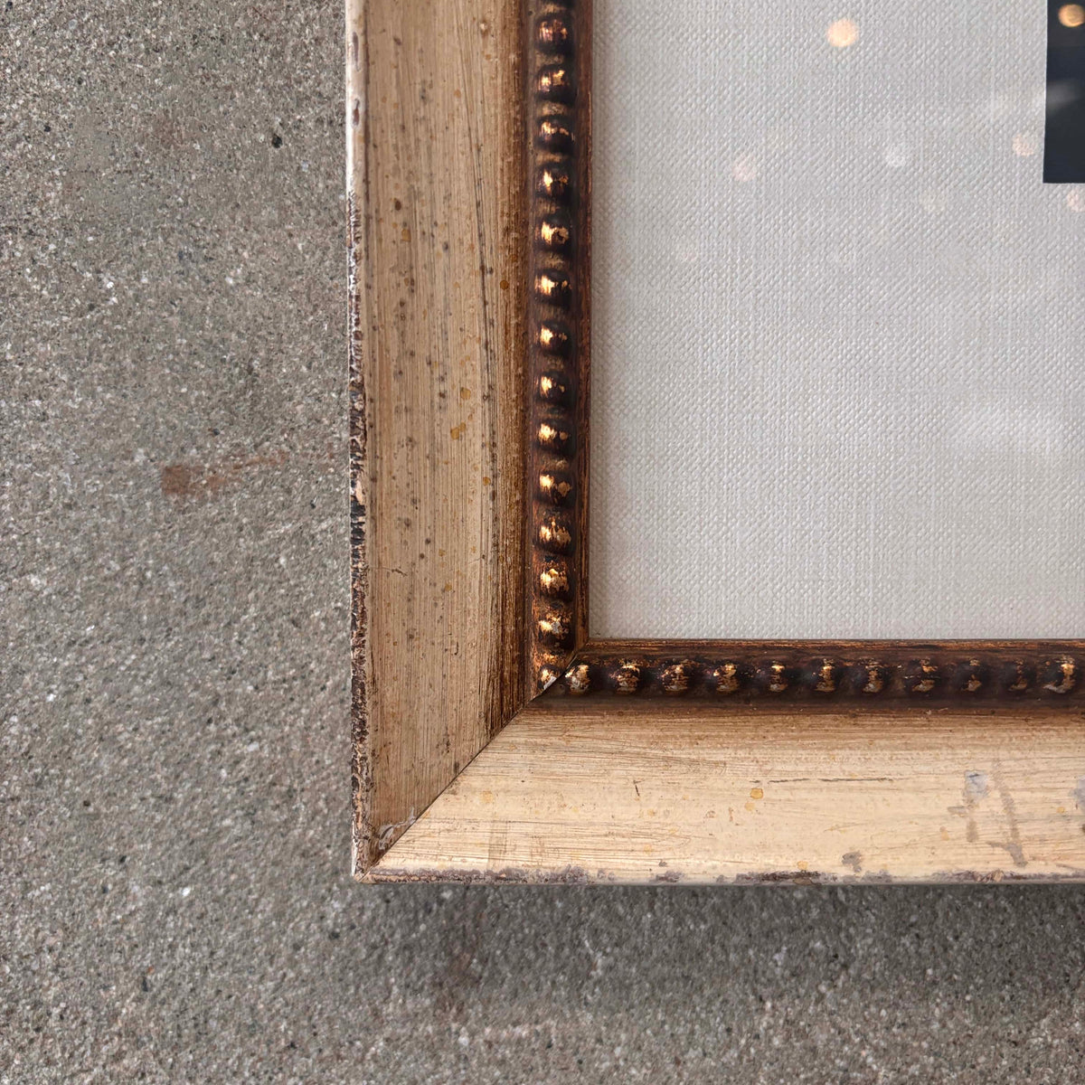 Fish Framed Art #1
