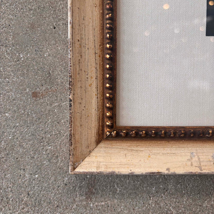 Fish Framed Art #1