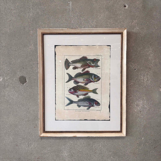 Fish Framed Art #2